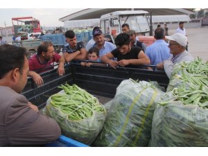 Fasulye piyasası altın çağını yaşıyor