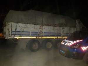 Jandarma 20 ton kaçak tomruk ele geçirdi