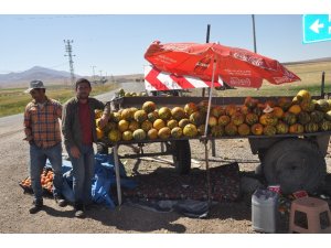 Balotu kavunu piyasaya çıktı