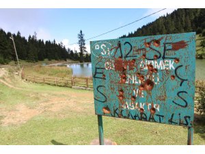 Tabelalar magandaların hedef tahtası oldu