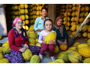 Kırkağaç’ta 30 bin ton kavun askıda