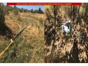 Diyarbakır’da teröre büyük darbe: 6 milyon kök keneviri ele geçirildi