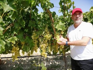 Ziraat Odası Başkanı Cem Yalvaç: “Hak yerini buldu”