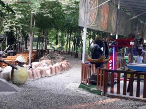 Restorandaki ölüm olayında işletme sahibi konuştu: "İhmalimiz var"