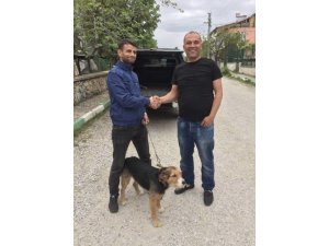 Av köpeği karşılığında transfer oldu
