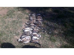 Çorum’da kaçak avcılara ceza yağdı