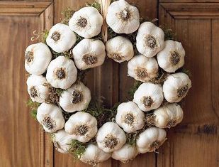 Sarımsak tüketmek için pek çok nedeniniz var!