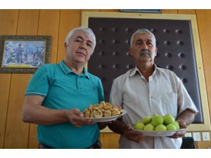 İncir üreticisinin keyfi yerinde