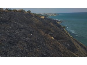 Tekirdağ’da ormanlık alanda yangın