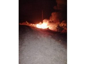 Arı kovanları yandı