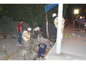 Sarıyer’de su kanalına düşen at itfaiye ekiplerinin çalışmasıyla kurtarıldı