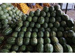 Domates 50, karpuz 20 kuruşa düştü