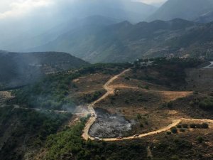 Hatay’da orman yangını