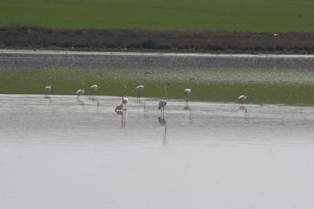 Düden gölü nisan yağmurlarını bekliyor