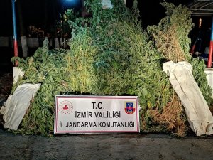 Uyuşturucu tüccarlarına darbe