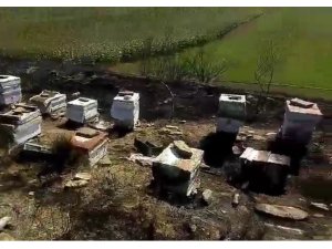 Tekirdağ’da 40 sandık arı kovanı yandı