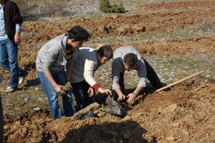 Üniversite öğrencilerinden hatıra ormanı