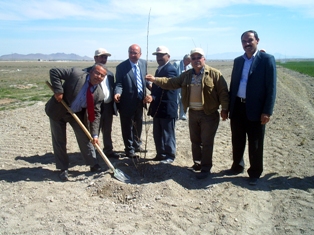 Karapınar'da fidan dikimi