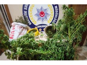 Şanlıurfa’da uyuşturucu operasyonu