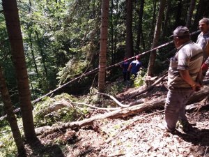 Üzerine ağaç devrilen şahıs hayatını kaybetti