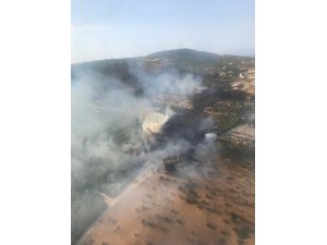 GÜNCELLEME - İzmir'de makilik alanda yangın