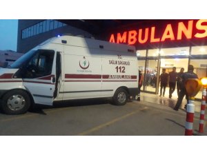 Köpeğe ateş ederken kuzenini öldürdü