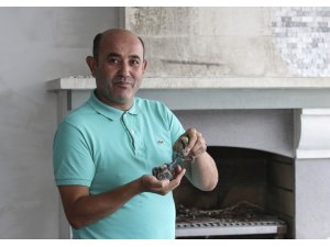 Terasına yuva yapan kuş için tadilata ara verdi