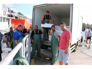 Av yasağı bitti, balık bollaştı