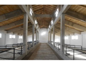 Ordu’da ahır sistemi değişiyor