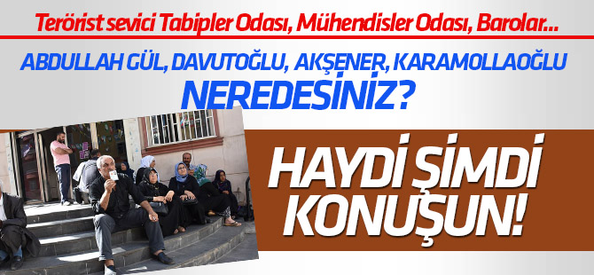Terörist sevici Tabipler Odası, Mühendisler Odası, Barolar neredesiniz?