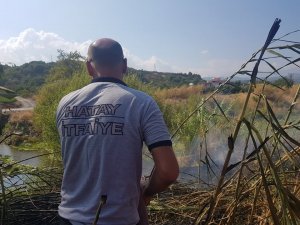 Samandağ’da bitki örtüsü yangını