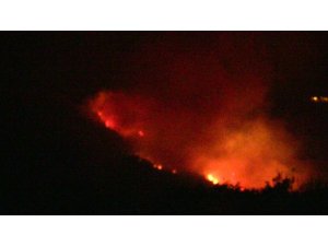 Samandağ’da orman yangını