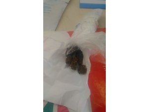 Boyabat’ta uyuşturucu operasyonu