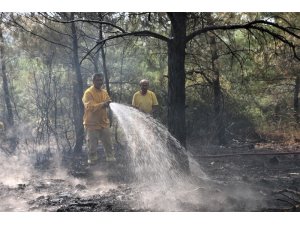 Manisa’daki orman yangını