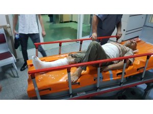 Hayvan otlatan adamı ayının saldırısından köpekler kurtardı