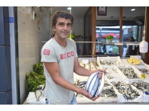 Sezonun ilk palamutları tezgahlarda