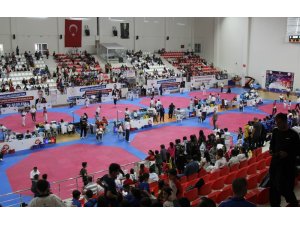 Taekwondo şampiyonası devam ediyor
