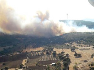 İzmir’de makilik alanda yangın