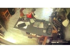 Bahşiş kutusu faresi, gözde turizm merkezinin belalısı oldu