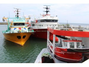 Palamut avından aradığını bulamayan Trabzonlu balıkçıların umudu hamsi oldu