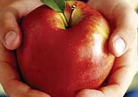 Kansere karşı her gün bir elma