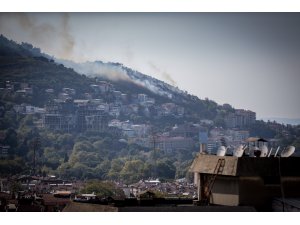 GÜNCELLEME - Bursa'da ormanlık alanda yangın