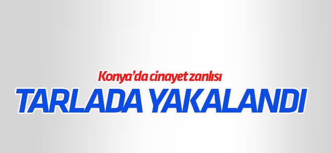 Cinayet zanlıları tarlada yakalandı