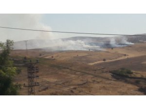 Diyarbakır’da anız yangını