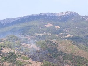 Antalya’daki orman yangını kontrol altına alındı