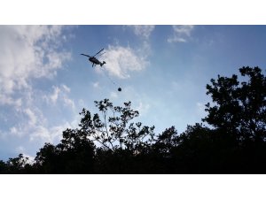 TSK, İzmir, Aydın ve Bolu'daki Yangın Söndürme Çalışmalarına 16 Helikopterle Destek Veriyor