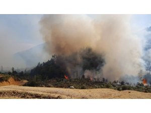 Hatay’da çıkan orman yangını kontrol altına alındı