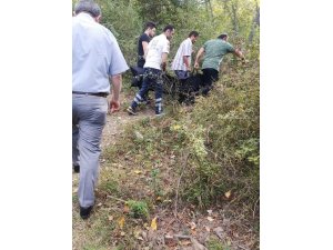 Ceviz ağacından düşen yaşlı kadın hayatını kaybetti