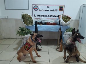 Gaziantep'te uyuşturucu operasyonu