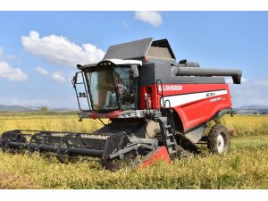 Dünyaca ünlü Gönen baldosunda hasat başladı